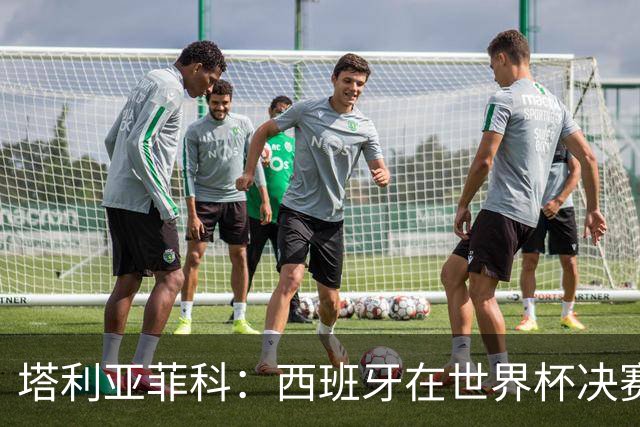塔利亚菲科：西班牙在世界杯决赛中战术全面压制我们